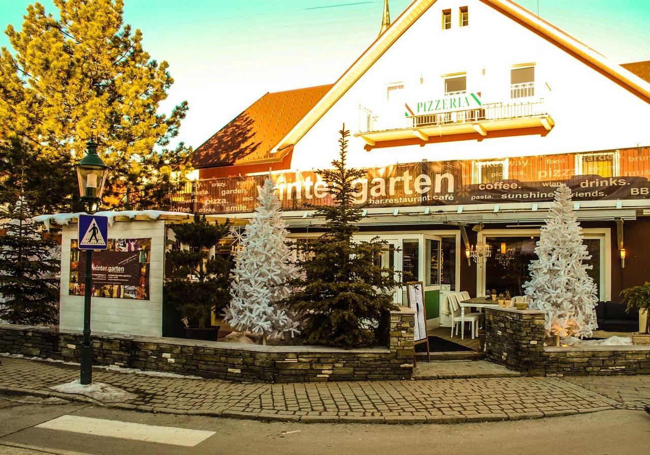 Hotel Wintergarten シュラートミンク エクステリア 写真